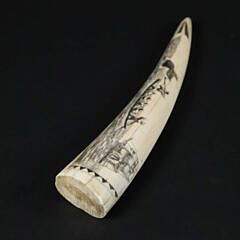 David Lazarus Scrimshaw Small Walrus Tusk Engraved with Active Whaling Scenes