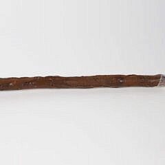 Carved Dog’s Head Emerging From a Ball Walking Stick, 19th Century