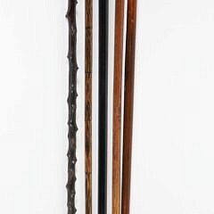 Five Sterling Silver Knob Handled Walking Sticks, 19th Century