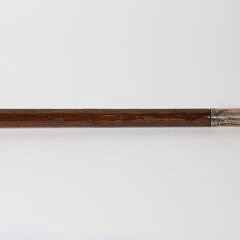 Sterling Silver Repousse Lion C-Grip Cane, 19th Century