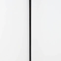 Antique Phrenology Head Walking Stick, 19th Century