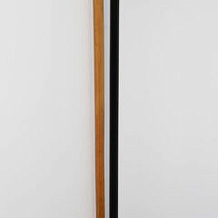 Two Continental Polychrome Porcelain Head Walking Sticks, 19th Century