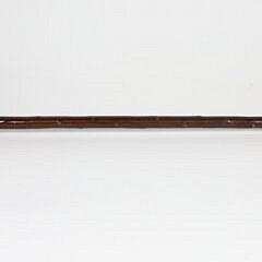 Silver Engraved Growling Tiger Head Grip Walking Stick, 19th Century