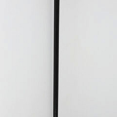Carved Jet Stone Ball Grip with Brass Cap Walking Stick, 19th Century