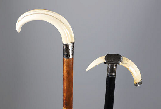 Two Boar Tusk Grip Canes, 19th Century, with Silver Mounts