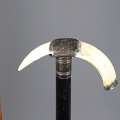 Two Boar’s Tusk C-Grip Canes, 19th Century, with Silver Mounts
