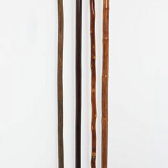 Collection of Four Antique Animal Head Grip Walking Sticks