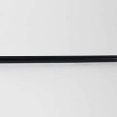 Chinese Export Repousse Silver Walking Stick, 19th Century