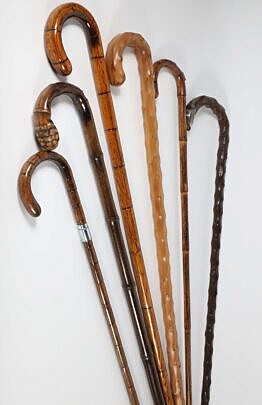 Six Bamboo Canes