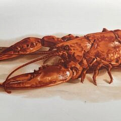 Vintage Richard Ginori Lobster Dinner Serving Platter, 20th century