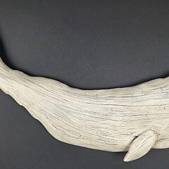 4691-955 Sperm Whale A