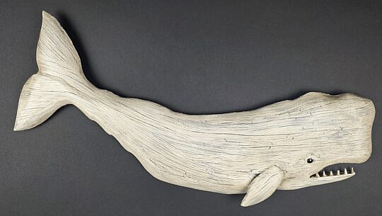 4691-955 Sperm Whale A