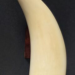 Robert Spring Polychrome Scrimshaw Whale’s Tooth, circa 1971