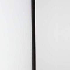 Whaler Made Naughty Nelly Walking Stick, 19th Century