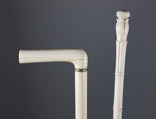 Cane and Walking Stick, 19th Century