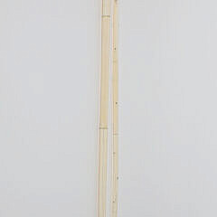 Carved L-Grip Cane and Blooming Fruit Walking Stick, 19th Century