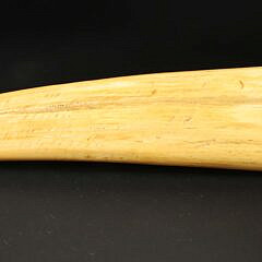 Chukchi Erotic Scrimshaw Walrus Tusk, 19th Century