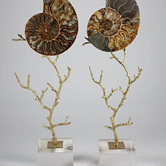 Pair of Prehistoric Stone Nautilus Shells