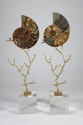 Pair of Prehistoric Stone Nautilus Shells
