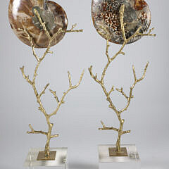 Pair of Prehistoric Stone Nautilus Shells