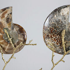 Pair of Prehistoric Stone Nautilus Shells