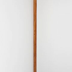 Mechanical Carved Wood Dog Head Walking Stick, 19th Century