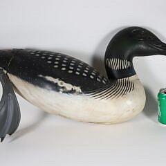 Half Model of a Swimming Loon