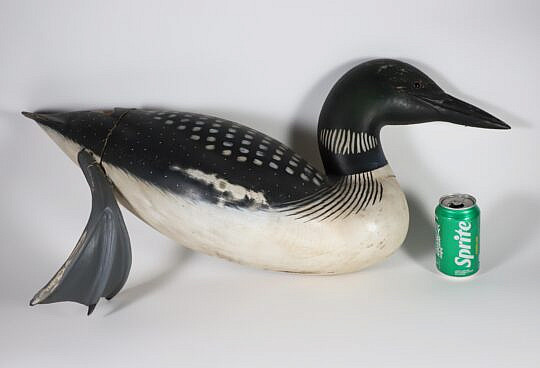 Half Model of a Swimming Loon