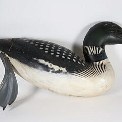 Half Model of a Swimming Loon