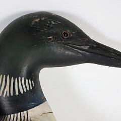 Half Model of a Swimming Loon