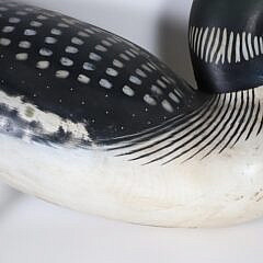 Half Model of a Swimming Loon