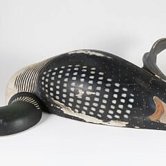 Half Model of a Swimming Loon