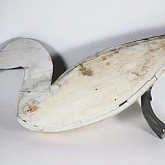Half Model of a Swimming Loon