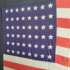 Framed Antique Silk 48 Star United States American Flag