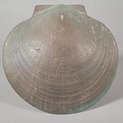 Large Vintage Brass Nautical Atlantic Deep Sea Scallop Door Knocker