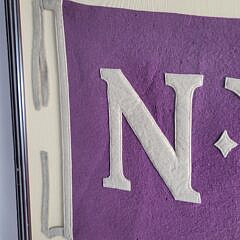 Vintage Framed 1920s New York University NYU Pennant Flag