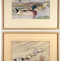 Pair of Signed Rex Brasher Hand Colored Duck Collotype Prints