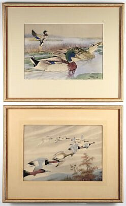 1827-1865 Brasher Duck Prints A