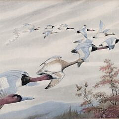 Pair of Signed Rex Brasher Hand Colored Duck Collotype Prints