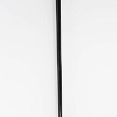 Carved Whippet Dog Head Grip Cane, 19th Century
