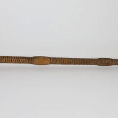 Carved Foo Lion Grip Walking Stick, 19th Century