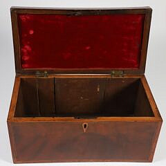 Mahogany Multi-Wood Inlaid Tea Caddy Box, 19th Century