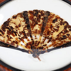 Antique Tortoiseshell Hand Fan Mounted in Later Oval Frame