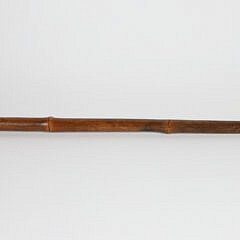 Carved Polychrome Wood Parrot Grip Walking Stick