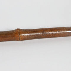 Carved Polychrome Wood Parrot Grip Walking Stick