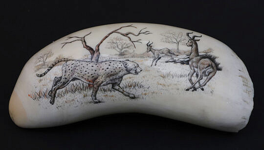 Linda Stockshlager Scrimshaw Whale Tooth Depicting an African Preditorial Scene
