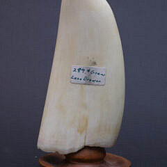 Lane Brower Scrimshaw and Polychromed Whale Tooth Depicting an Eagle Conflict