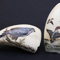 Two Gail Brose Scrimshaw Polychromed Teeth