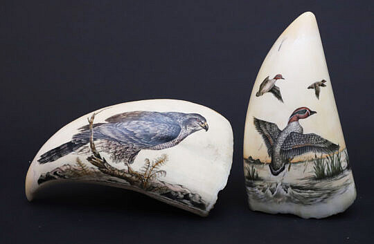 Two Gail Brose Scrimshaw Polychromed Teeth