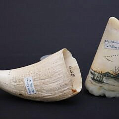 Two Gail Brose Scrimshaw Polychromed Teeth